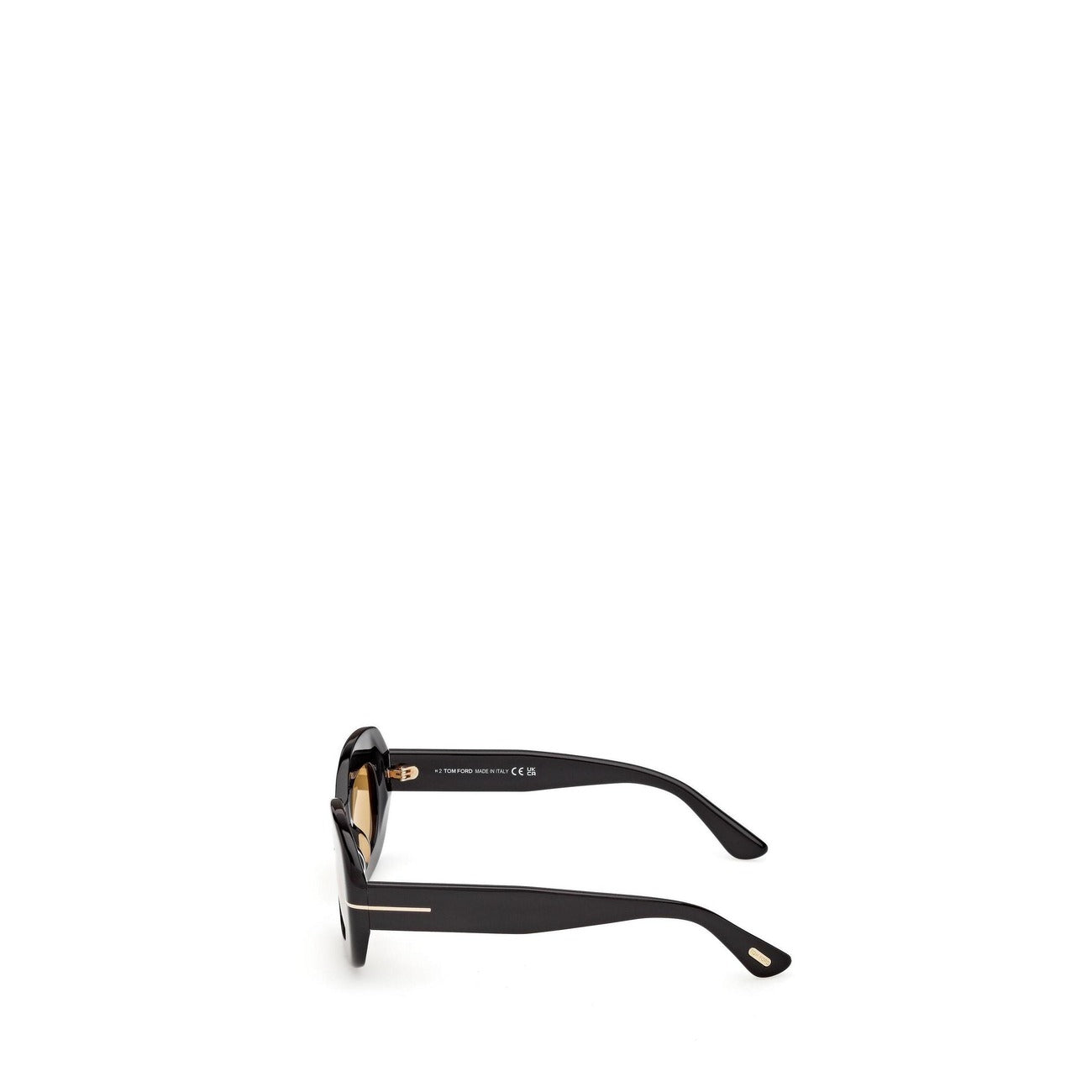 Tom Ford Zonnebril Dames Bruin