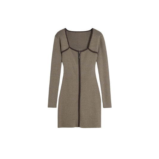 Desigual Jurk Dames Bruin